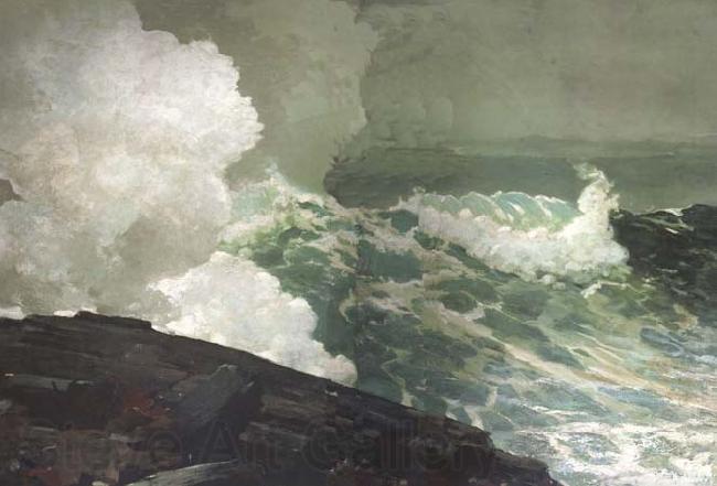 Winslow Homer Northeaster (mk44) Germany oil painting art